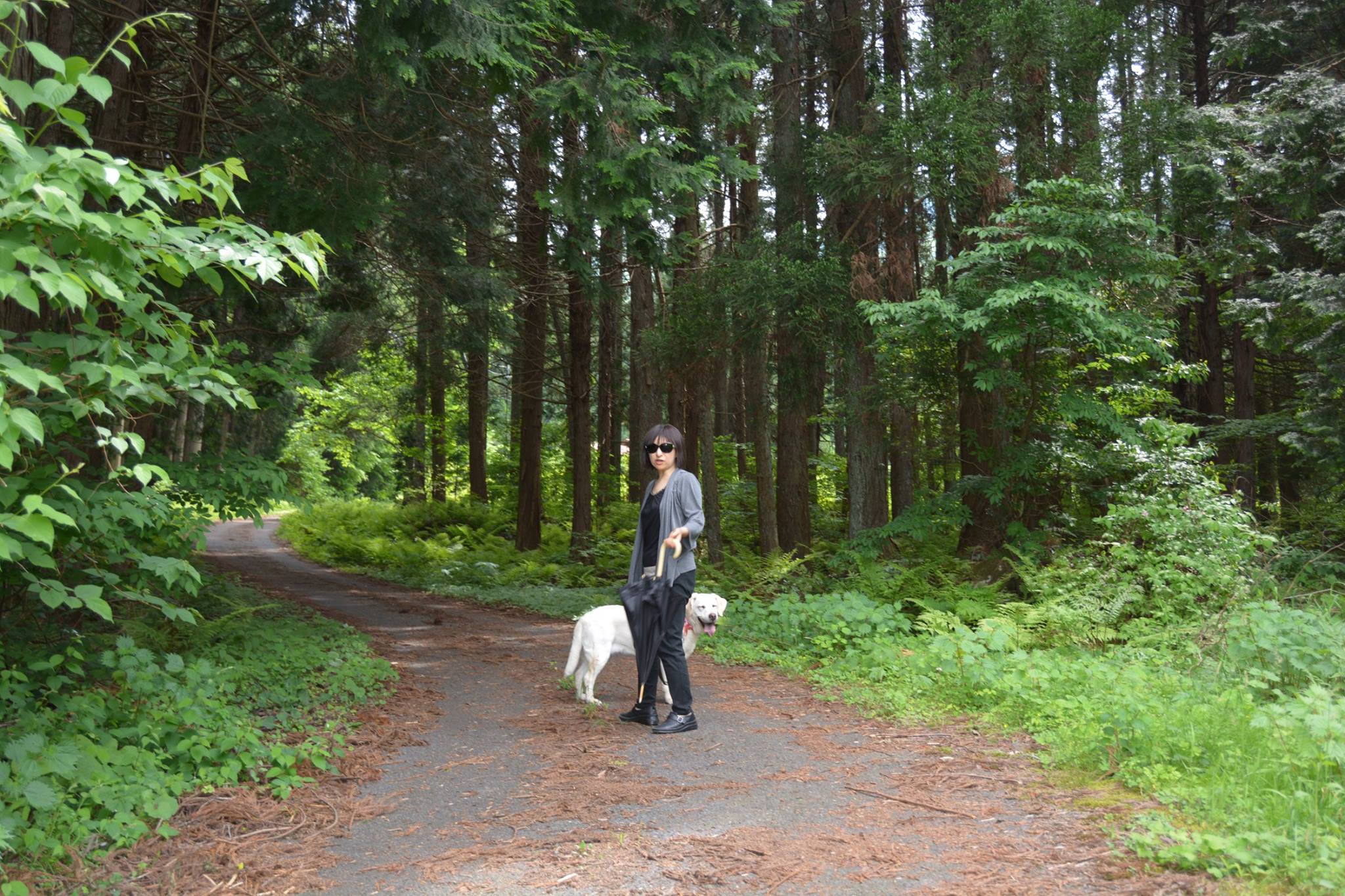 �X�{����K��