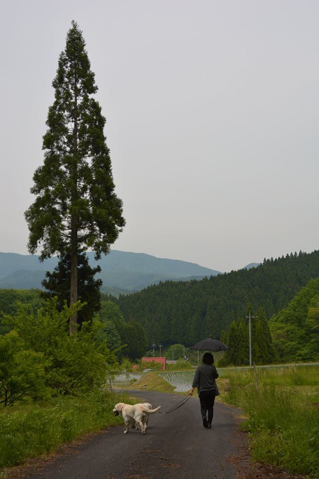 �߂��������