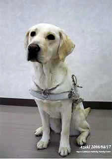 �n�[�l�X�𒅂����A�Y�L