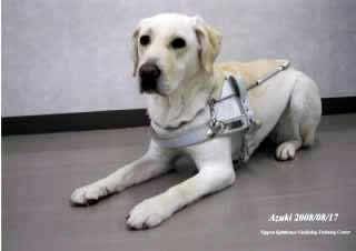 �n�[�l�X�𒅂����A�Y�L