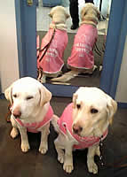 ���̑O�ŃV�b�c����