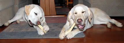 ��l���ǂ��~���L�[�{�[�����K�W�K�V���Ă܂�