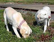 ��l�Œ��ǂ��n�~�n�~