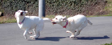 ������\���̐K�������킦�悤�Ƃ���A�Y�L