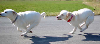 ���������l