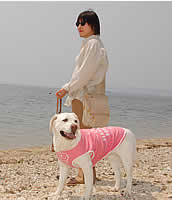 �͂݂ɘA���ꂽ�\��