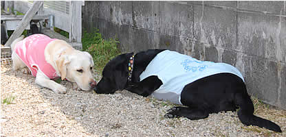 �Z�������ƕ@��˂����킹��悤�ɂ��Ęb�����Ă���݂���