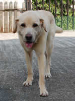 ���r�[�N���ꂵ����