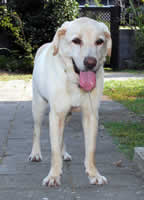 ��������Ԃ����Ă������r�[�N