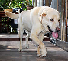 ��������Ԃ����Ă������r�[�N