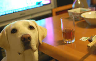 �l�[�V�{�[