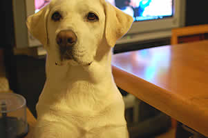 �l�[���ăo�[