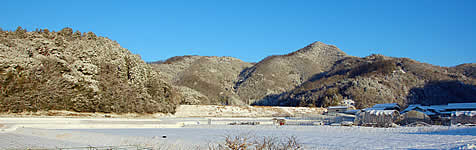 �����ɋP���ቻ�ς����R�X