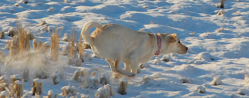 �ቌ���グ�đ���A�Y�L