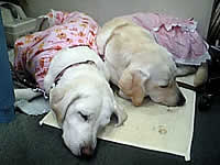 �o�΂S���ځ@�\���ƈꏏ�ɂ��x�ݒ�