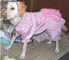 �f�G�ȃh���X���I��������܂���