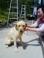 ���a����