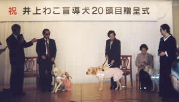 ���掮�̗l�q