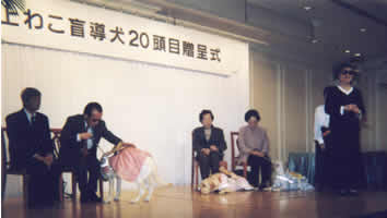 ���掮�@���킱����̂����A