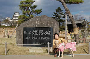 �P�H���w�ɁA������I����ƃt�N�����