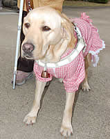 ���d�����[�h�řz�X�����t�N�����