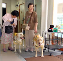 ��t�ŕ�����܂���