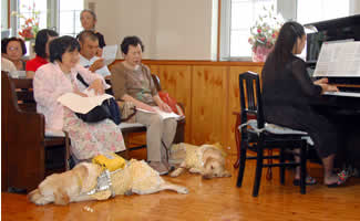 �_���̃v���O���������܂���