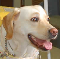 ���q�l�����Ċ��ł�r�������