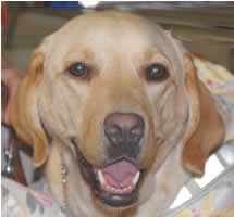 �t�N�����A�����̃x�X�g�V���b�g