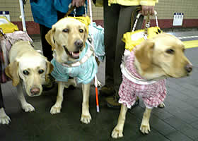 �d�Ԃ̏�芷��