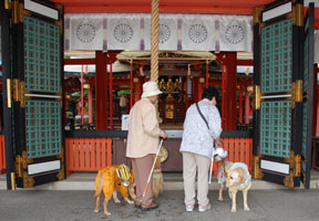 ���c�_�ЎQ�q��