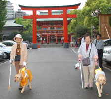 ���c�_�Ђ̒�����w�ɁA�O�m�{�ւ�������