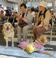 ���ɖӓ��������ɂāA���낢�ł���t�N�����ƃt�H�[�}�����A