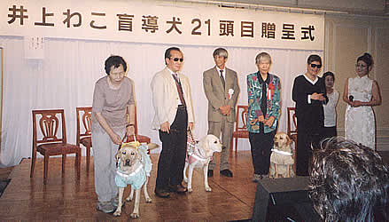 ���掮�̎ʐ^