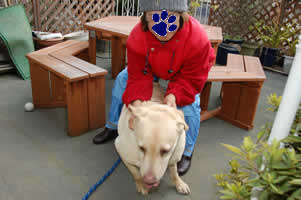 �e���X�ł��ꂳ��Ƃ��ʂ�̃V���b�g