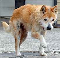 �ڂ����ɂ����̂őO���������グ�ĕ����܂�