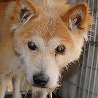 �|�`�����̃A�b�v�ʐ^