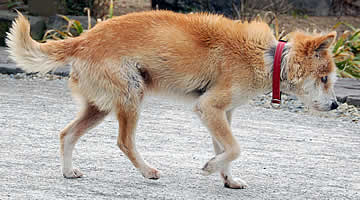 �����p�A������