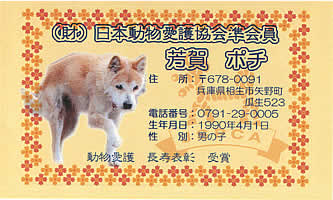 �|�`�̎ʐ^�����h