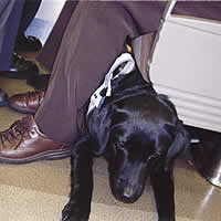 �����ł��ƂȂ����_�E�����Ă��܂��B�ڐ��̐��true�E�E�E