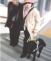 �}�}�ƊK�i��o��܂�