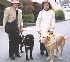 true�}�}�ƃt�H�[�V���b�g