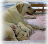 �Q�O�O�R�N�X���Q�T��