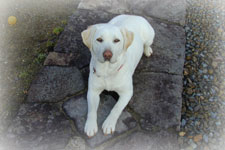 �`���b�Ƃ��o����炵��?