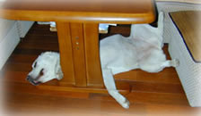 �����̃x�X�g�V���b�g?