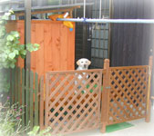 �E�b�h�f�b�L�̗l�q