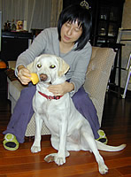 �͂݂Ƀ{�[���������������߂����Ƃ���\��