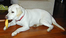 �{�[���̒[������ŐU��񂵂Ċ��ł��܂�