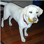 ふたつのボールを独り占め