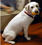 ふたつのボールを独り占め